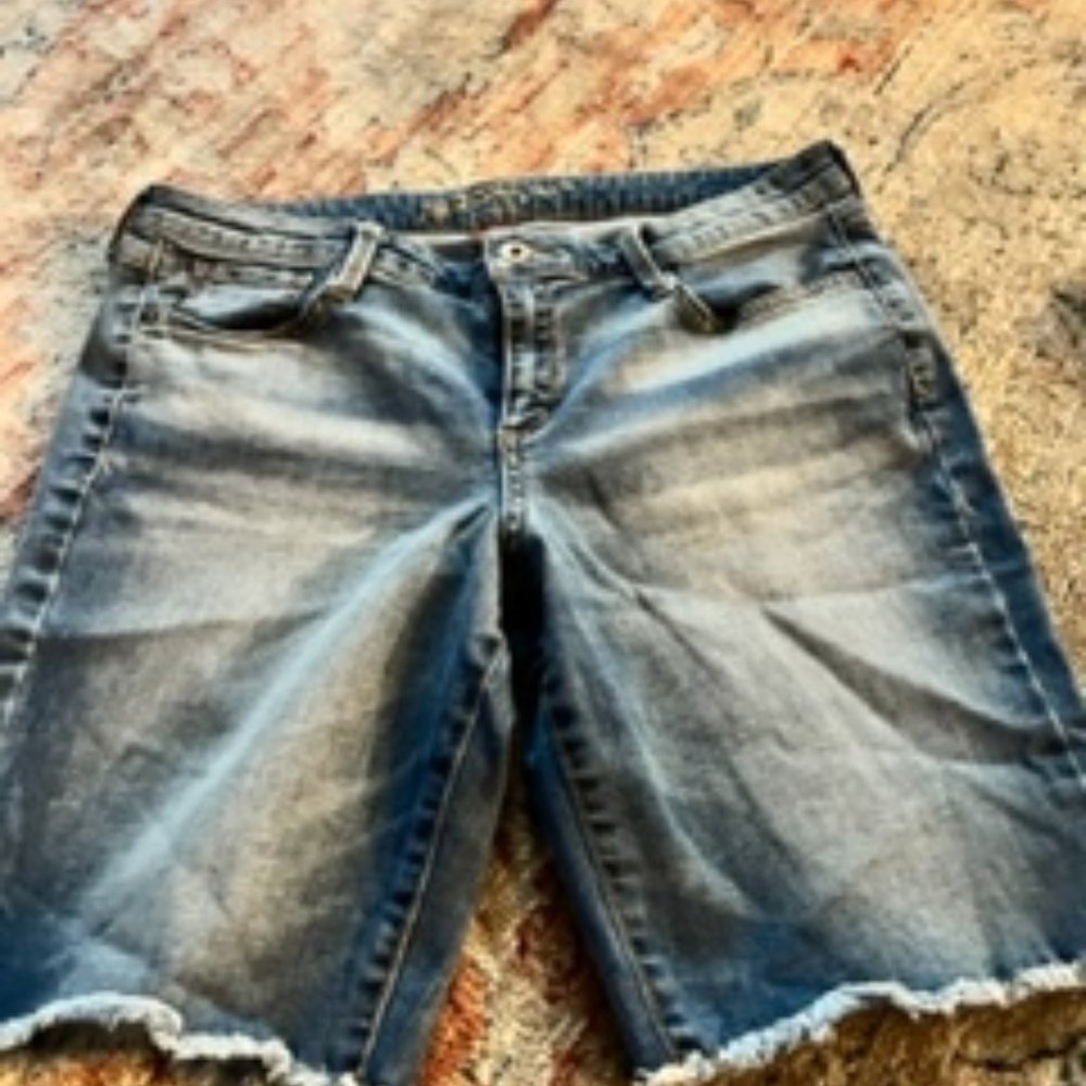 Arizona Jean Shorts, Size 13